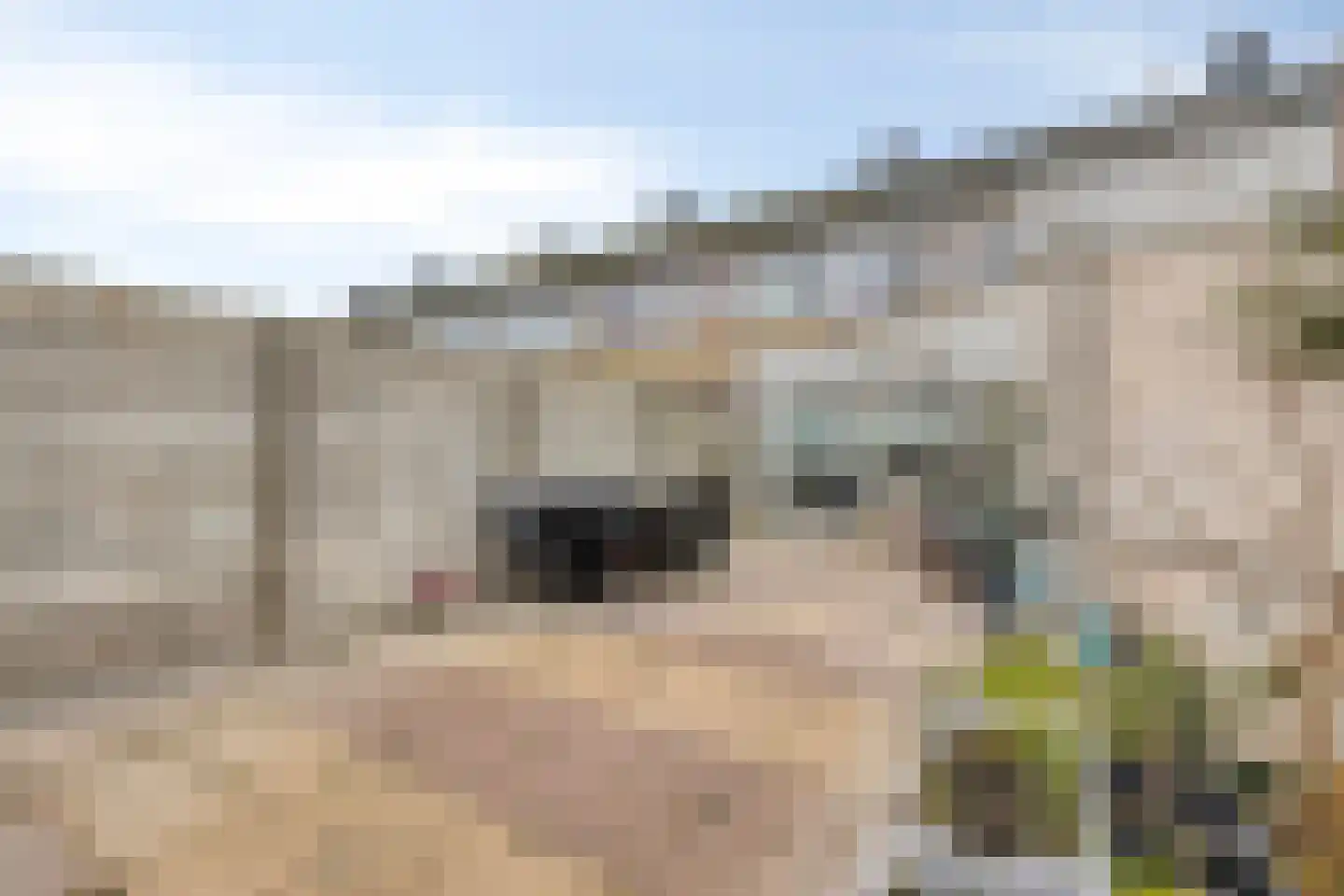 Merwedelaan 7 Bergen op Zoom thumbnail 38