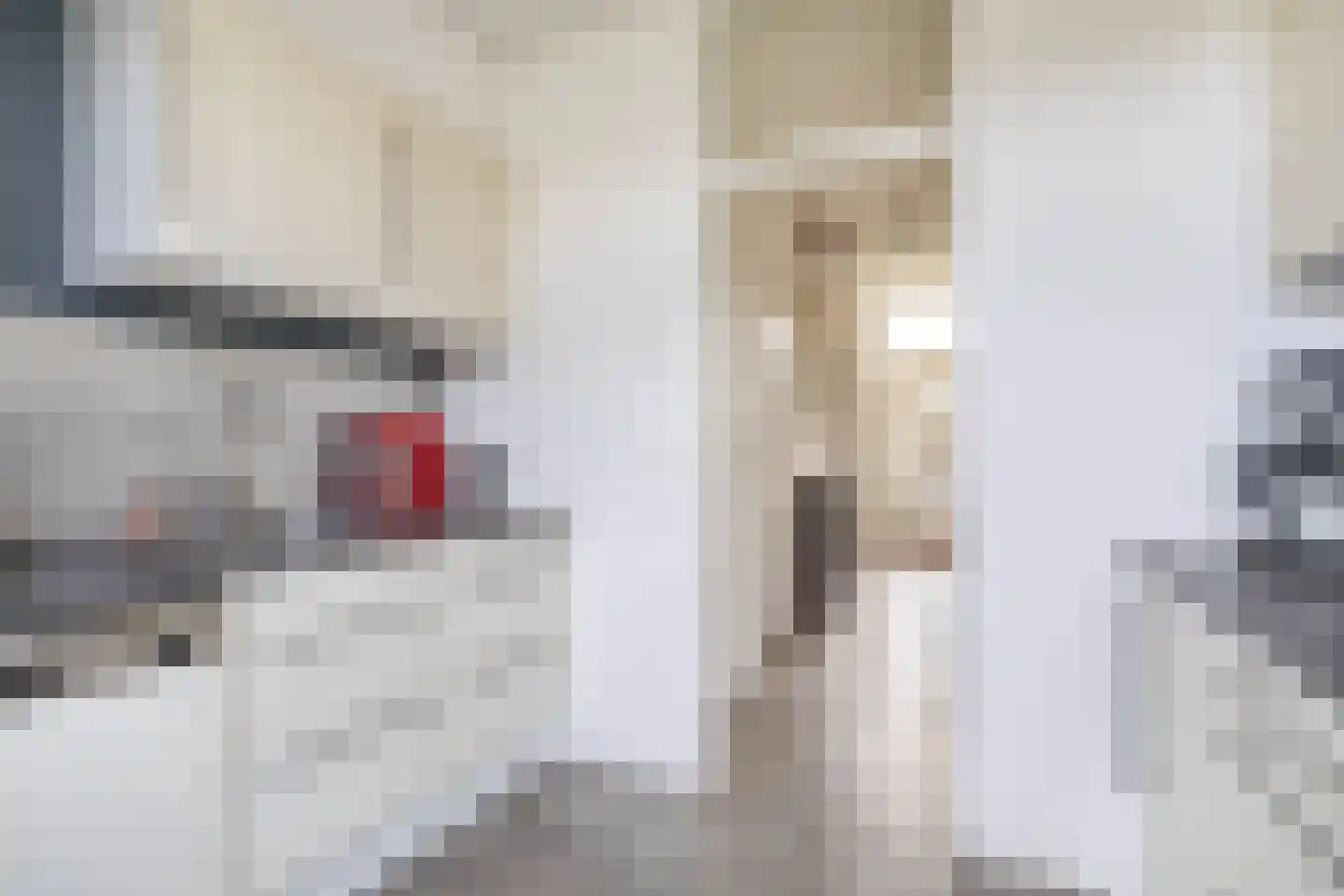 Merwedepad 41 Rozenburg thumbnail 17