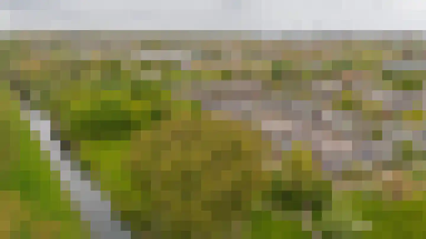 Merwedepad 41 Rozenburg thumbnail 41
