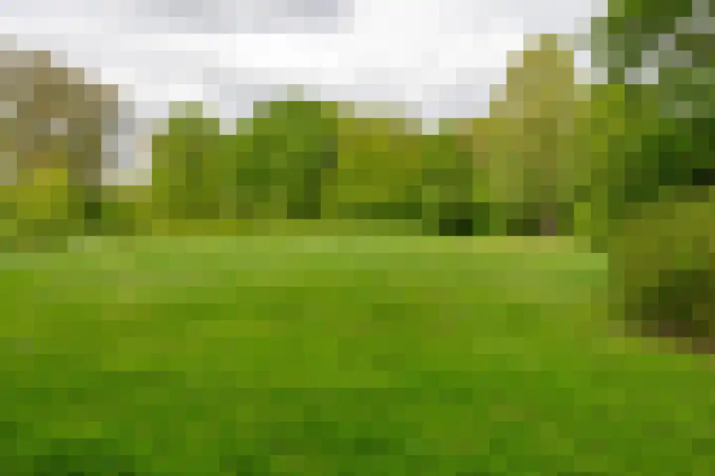 Merwedepad 41 Rozenburg thumbnail 43
