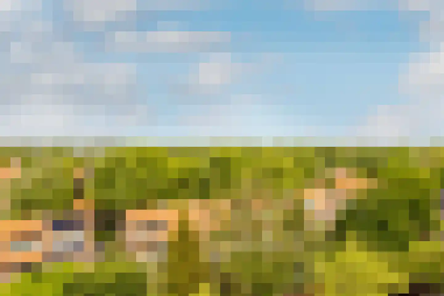 Merwedeplantsoen 100 Heemstede thumbnail 10