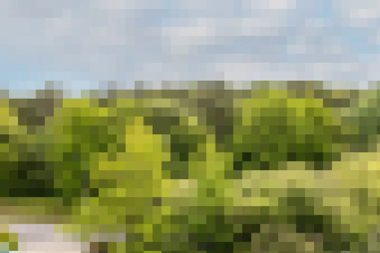 Merwedeplantsoen 100 Heemstede thumbnail 6