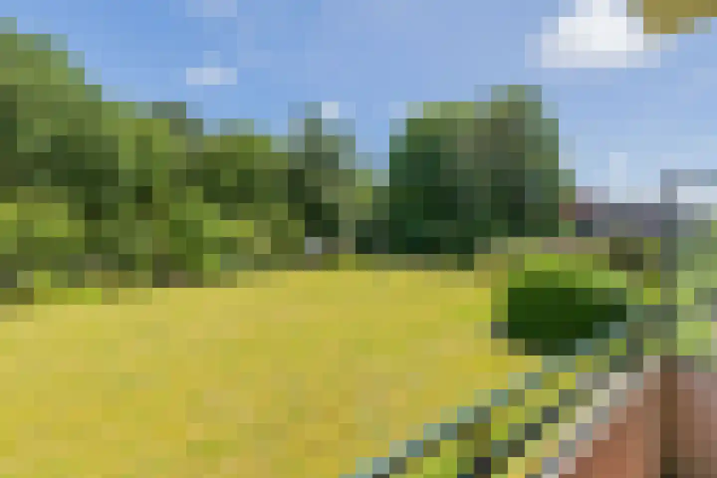 Merwedeplantsoen 116 Heemstede thumbnail 23