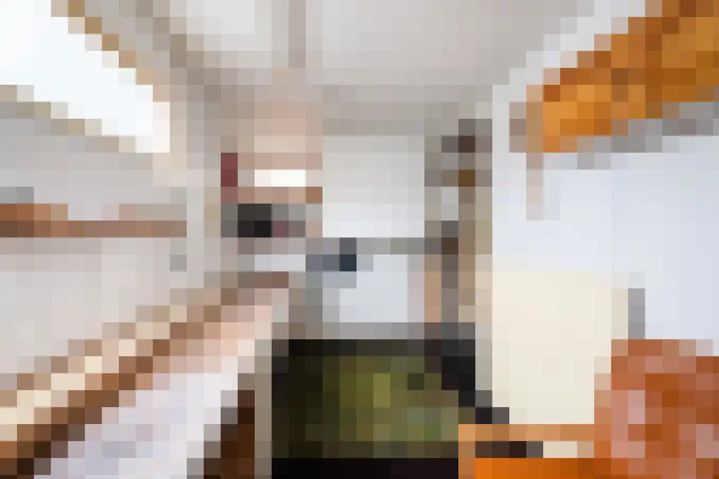 Merwedeplantsoen 49 Utrecht thumbnail 19