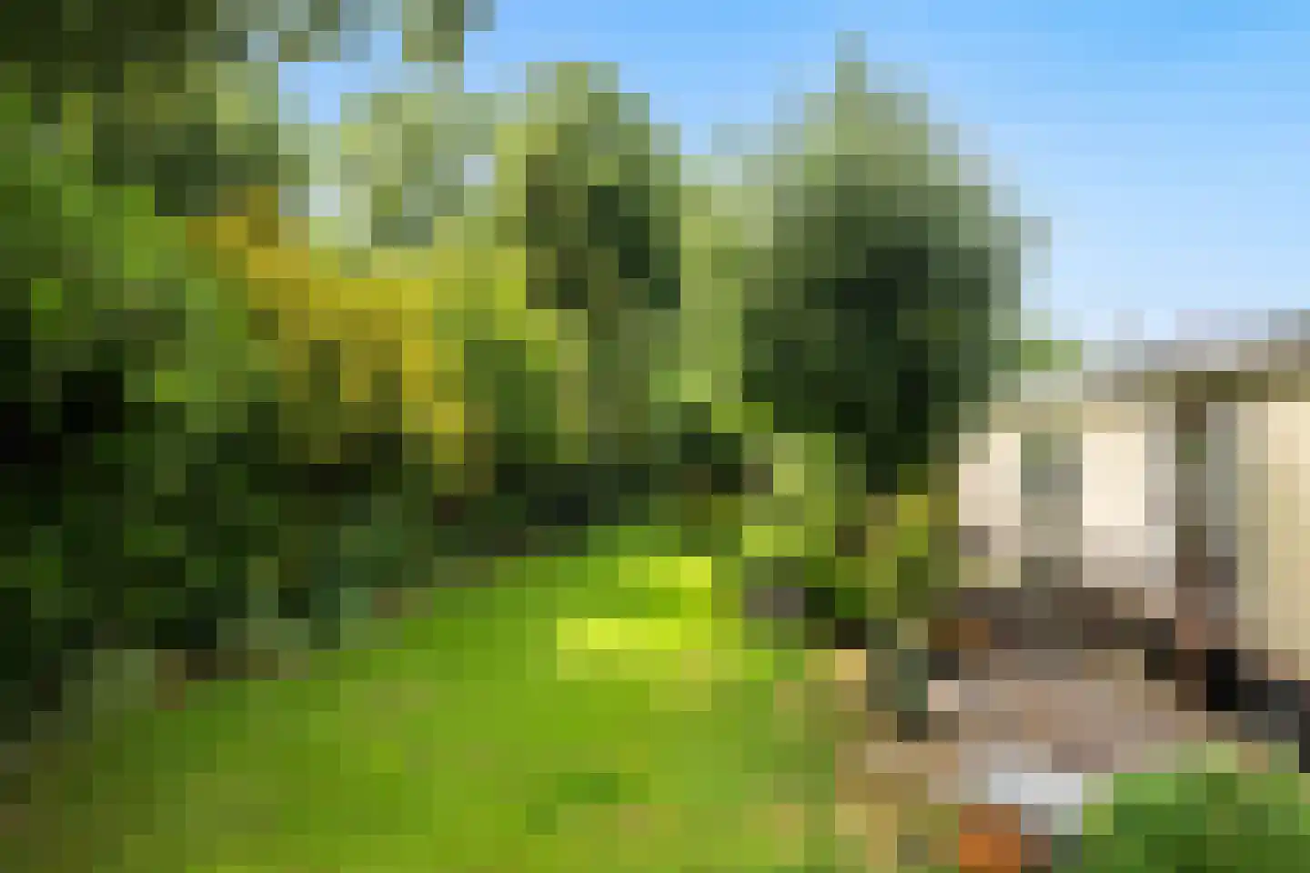 Merwedeplantsoen 49 Utrecht thumbnail 23