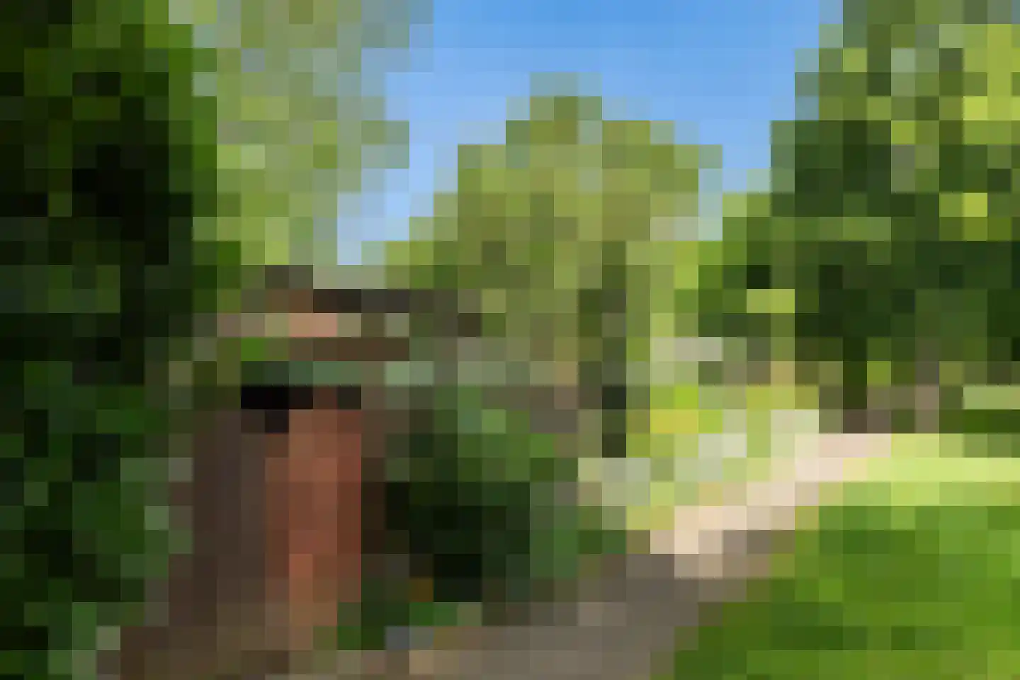 Merwedeplantsoen 49 Utrecht thumbnail 27