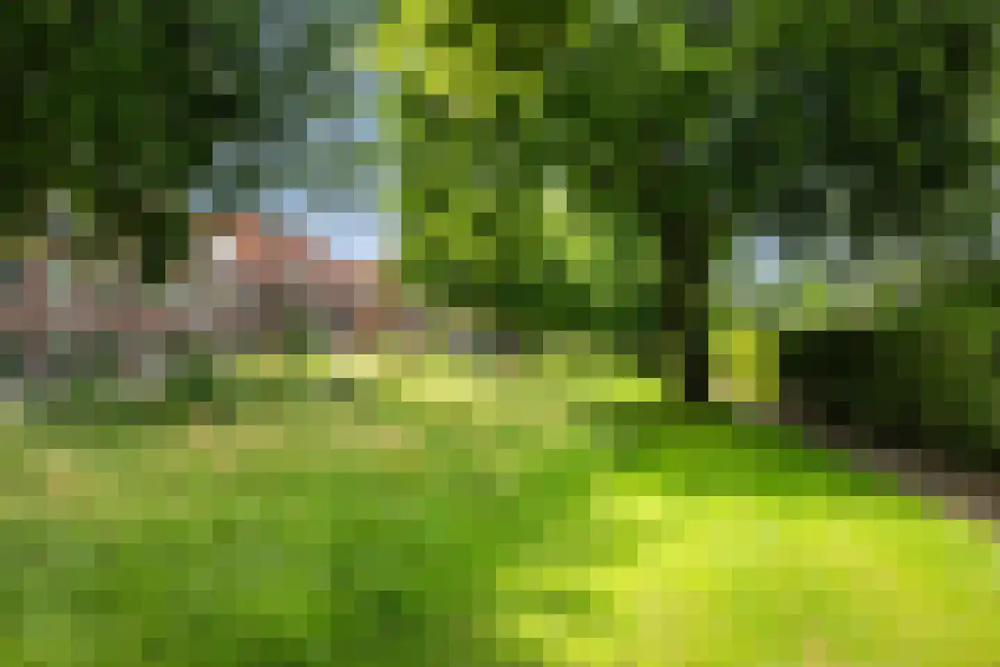 Merwedeplantsoen 49 Utrecht thumbnail 28
