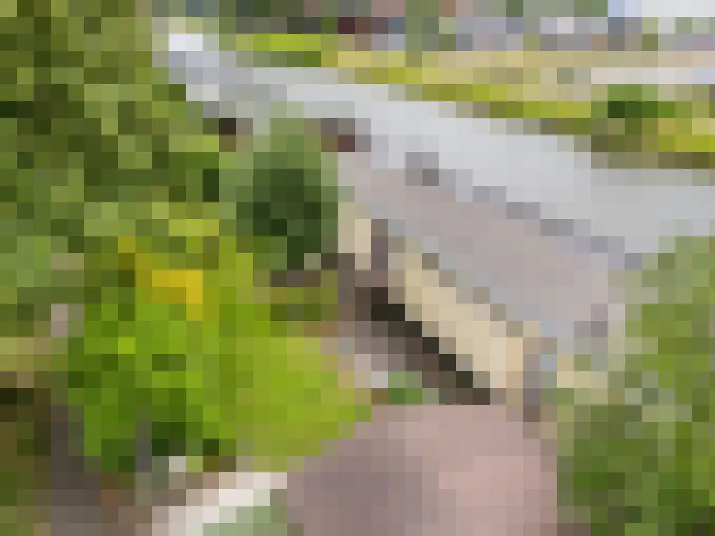 Merwedeplantsoen 49 Utrecht thumbnail 31
