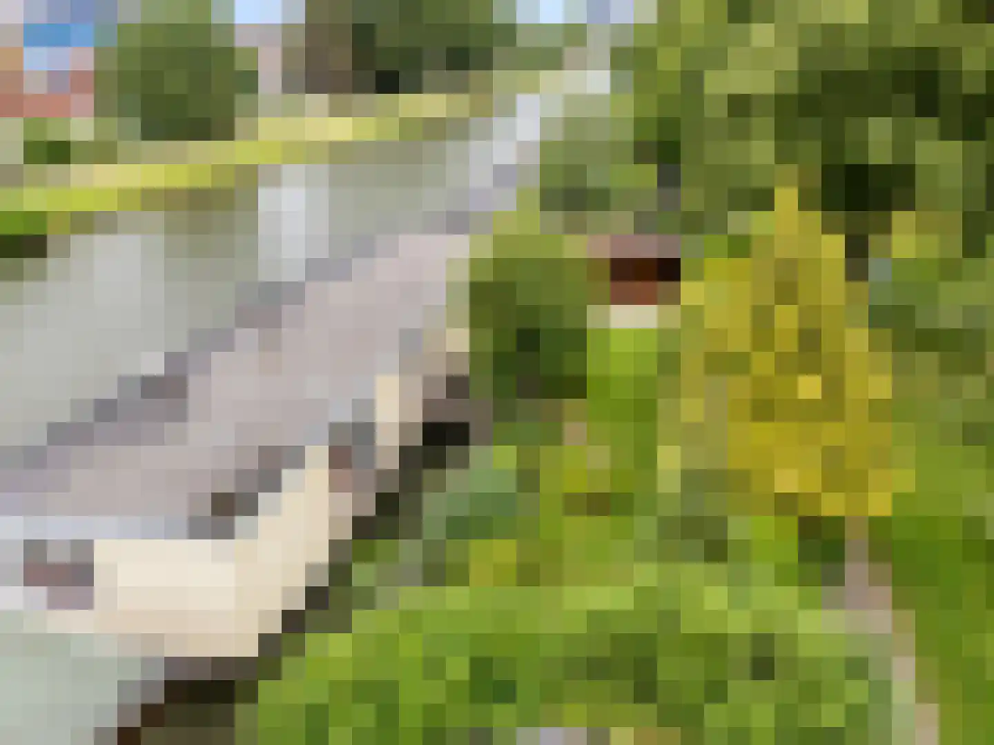 Merwedeplantsoen 49 Utrecht thumbnail 32