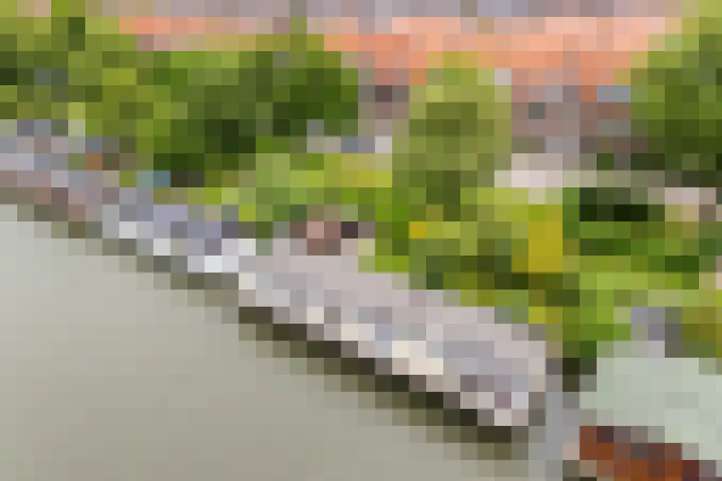 Merwedeplantsoen 49 Utrecht thumbnail 33