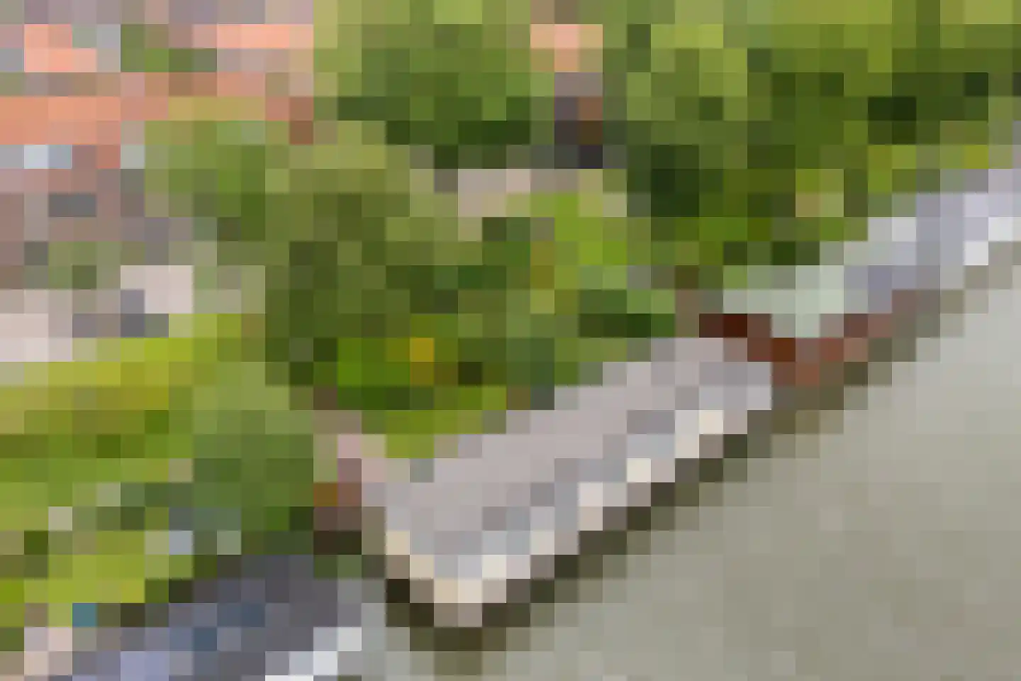 Merwedeplantsoen 49 Utrecht thumbnail 36