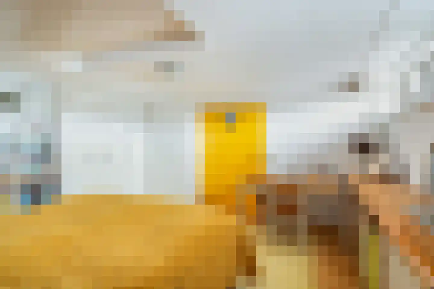 Merwedeplantsoen 55 Utrecht thumbnail 27
