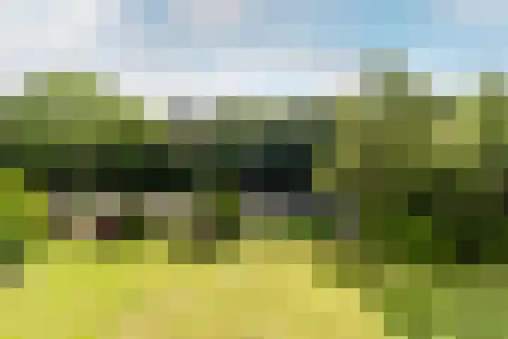 Merwedeplantsoen 58 Heemstede thumbnail 6