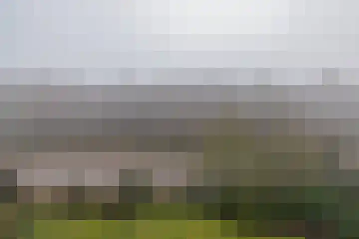 Merwedeplantsoen 76 Heemstede thumbnail 24