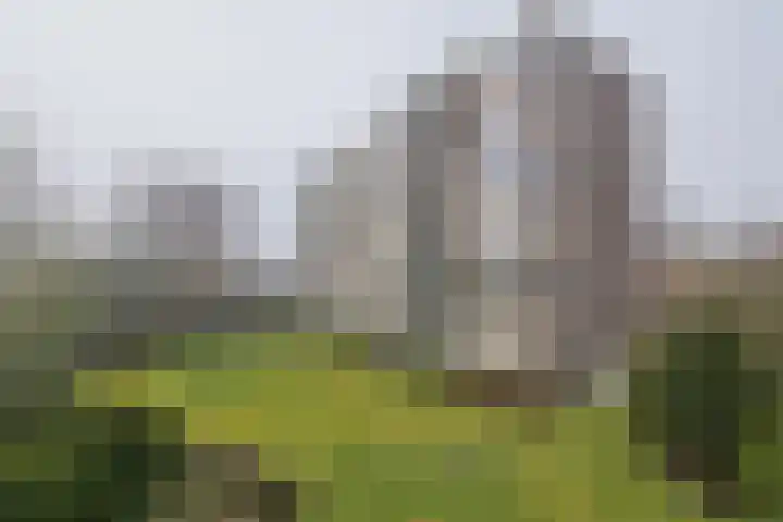Merwedeplantsoen 76 Heemstede thumbnail 4