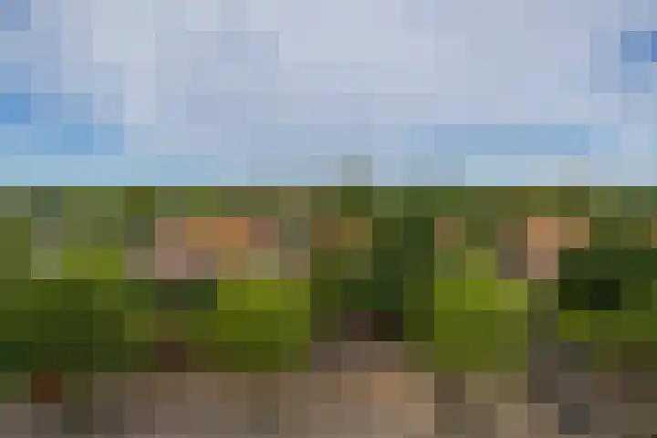 Merwedeplantsoen 76 Heemstede thumbnail 43