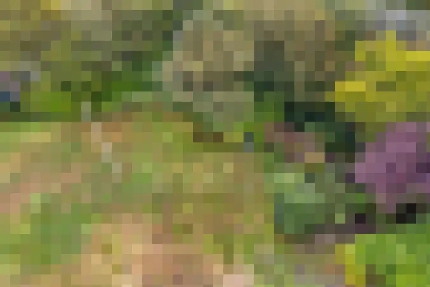 Merwedeplantsoen 88 Heemstede thumbnail 20