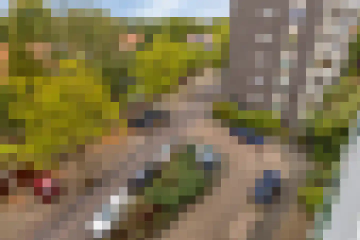 Merwedeplantsoen 88 Heemstede thumbnail 31