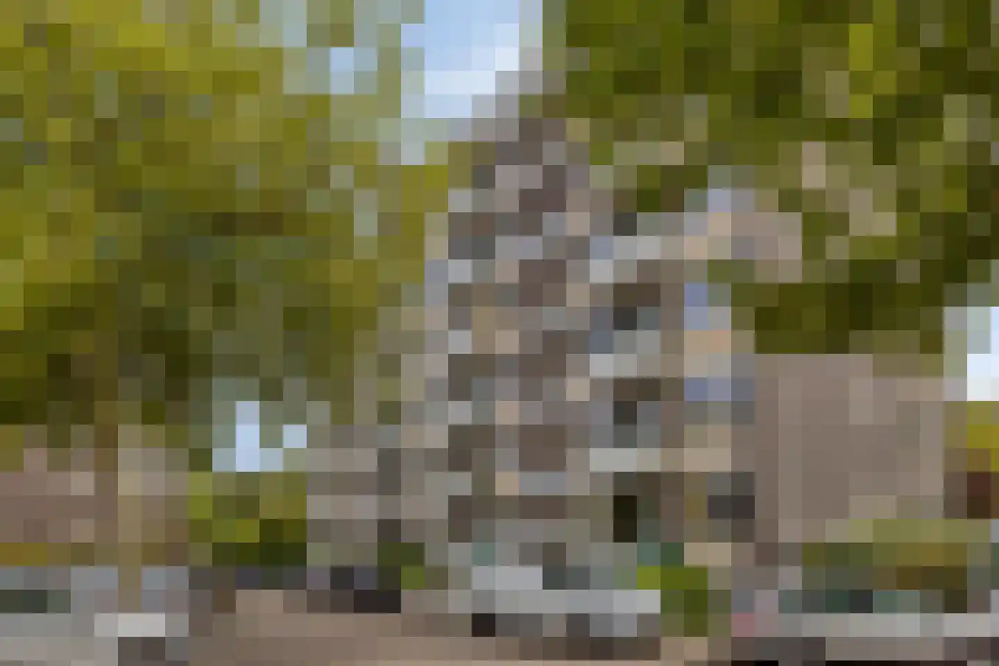 Merwedeplantsoen 88 Heemstede thumbnail 43