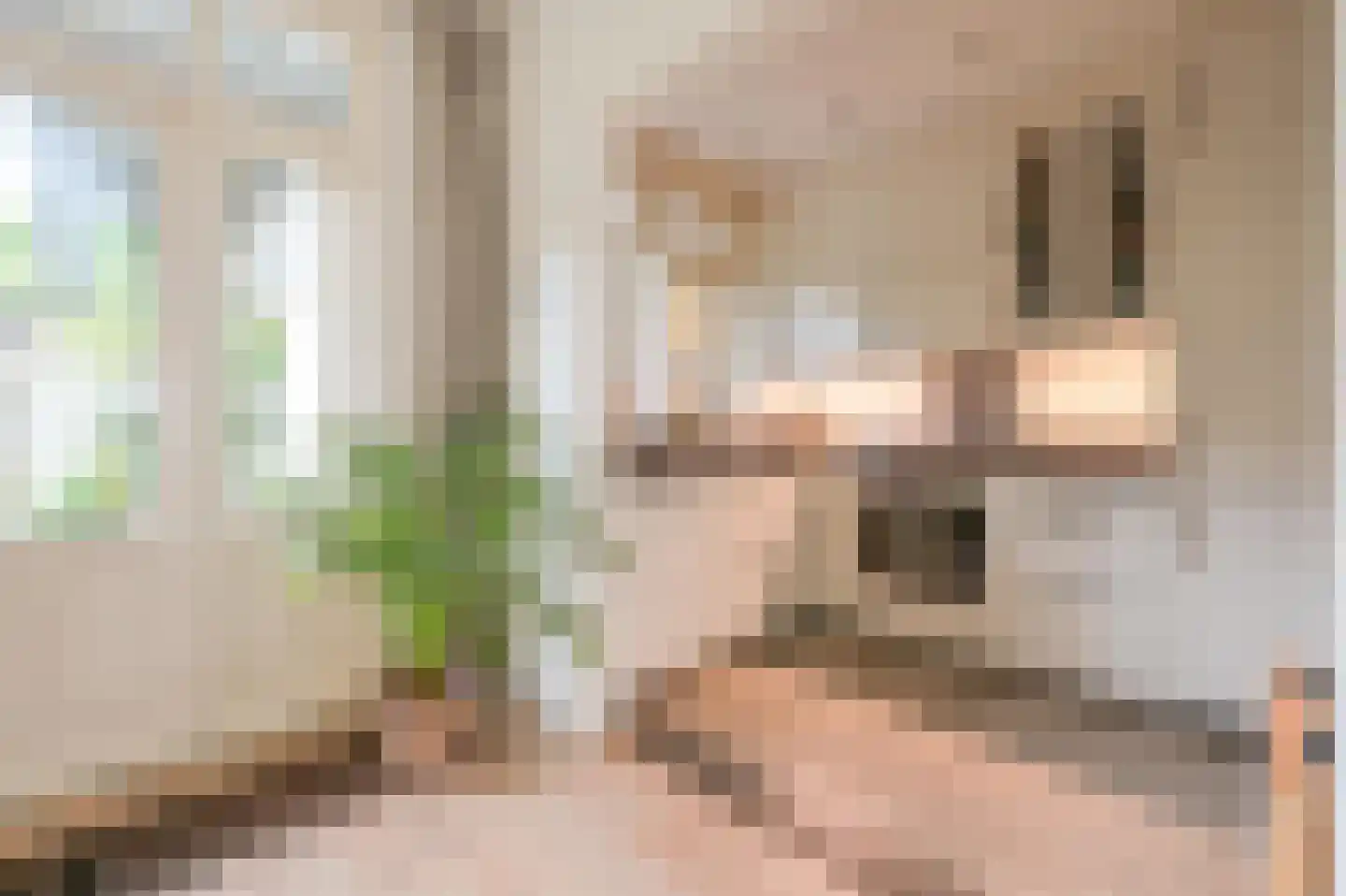 Merwedestraat 1 Utrecht thumbnail 5