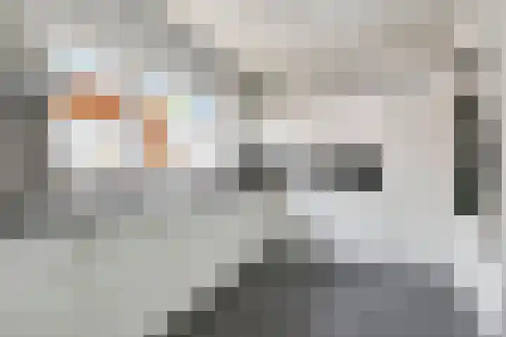 Merwedestraat 1 Velp thumbnail 13