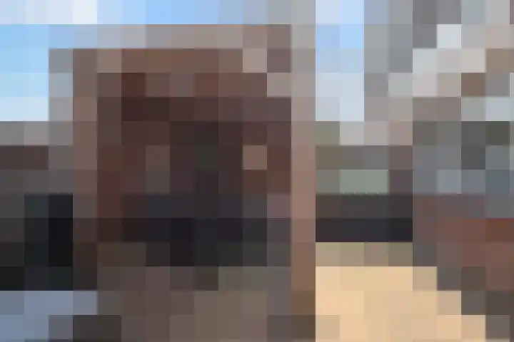 Merwedestraat 1 Velp thumbnail 18
