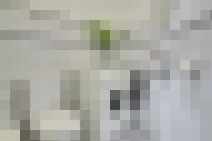 Merwedestraat 12 Utrecht thumbnail 18