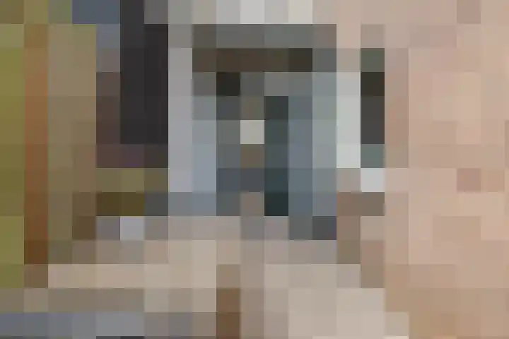 Merwedestraat 12 Utrecht thumbnail 33
