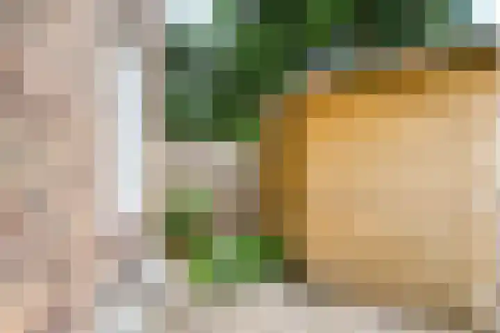 Merwedestraat 12 Utrecht thumbnail 35