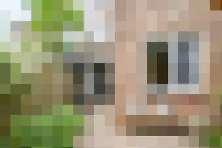 Merwedestraat 12 Utrecht thumbnail 37