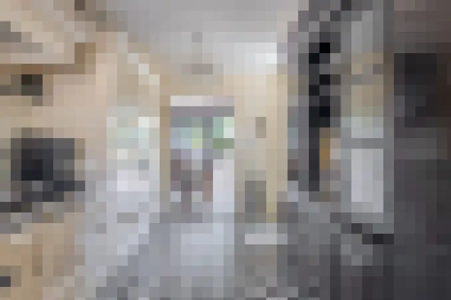 Merwedestraat 13 Beverwijk thumbnail 29