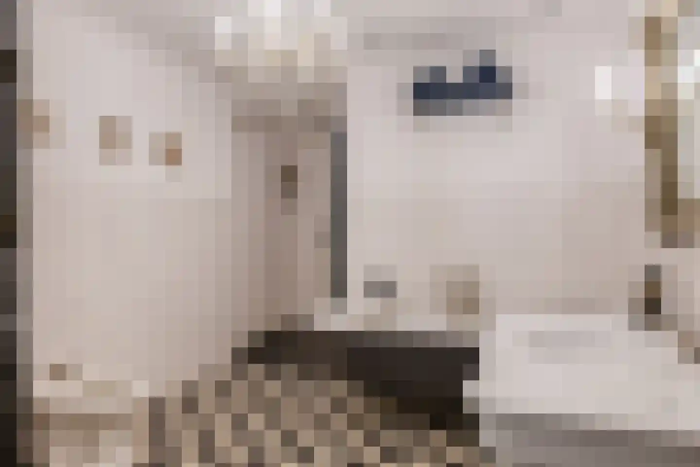 Merwedestraat 13 Beverwijk thumbnail 53