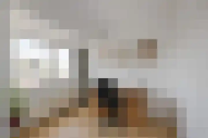 Merwedestraat 15 Haarlem thumbnail 21