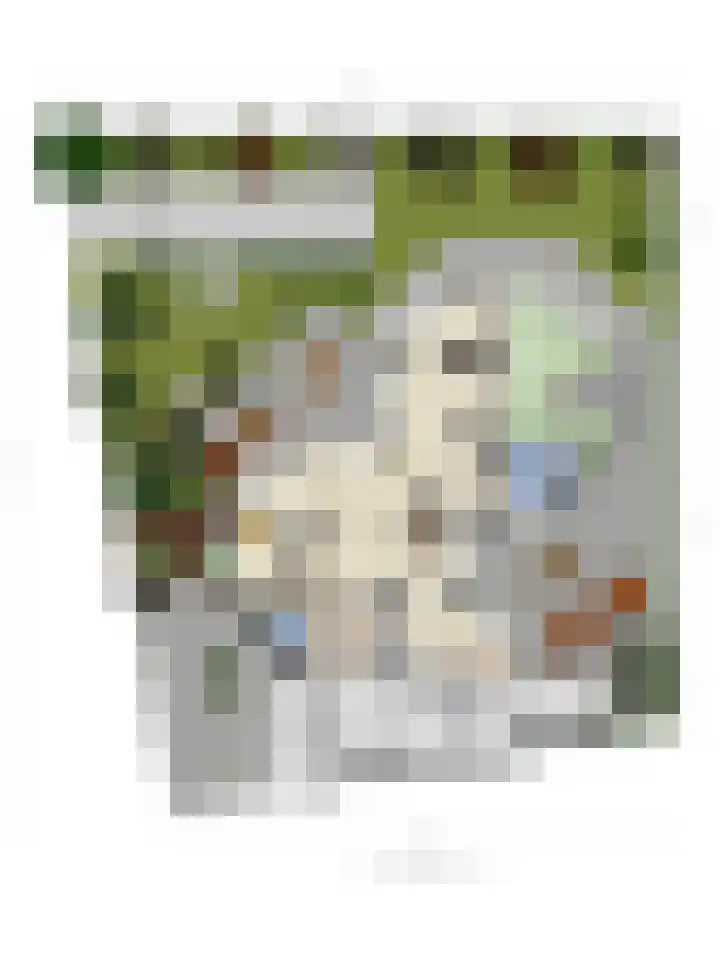 Merwedestraat 15 Hengelo thumbnail 63