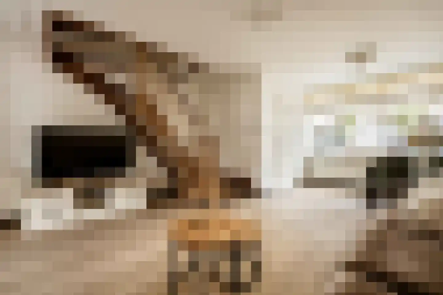 Merwedestraat 18 Haarlem thumbnail 18