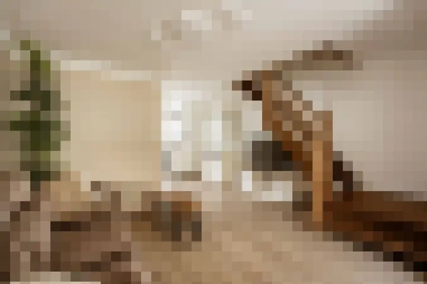 Merwedestraat 18 Haarlem thumbnail 22