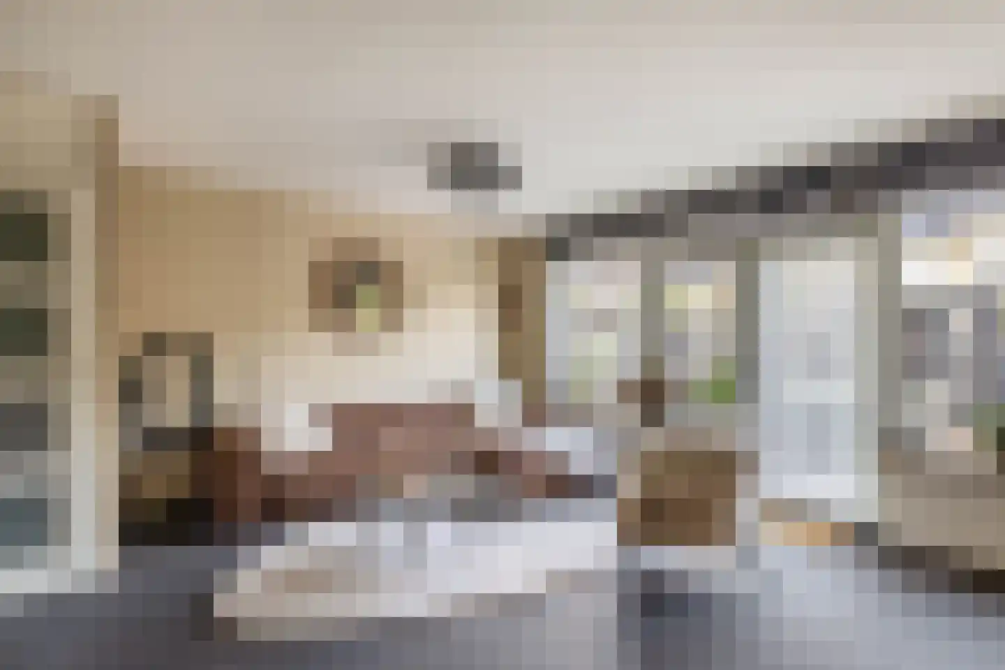 Merwedestraat 19 Spijkenisse thumbnail 17