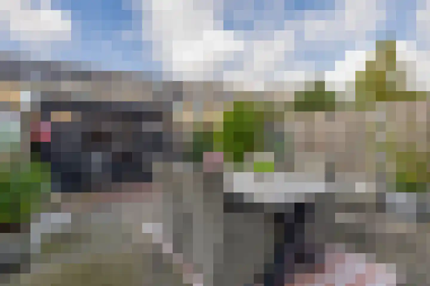 Merwedestraat 19 Spijkenisse thumbnail 25