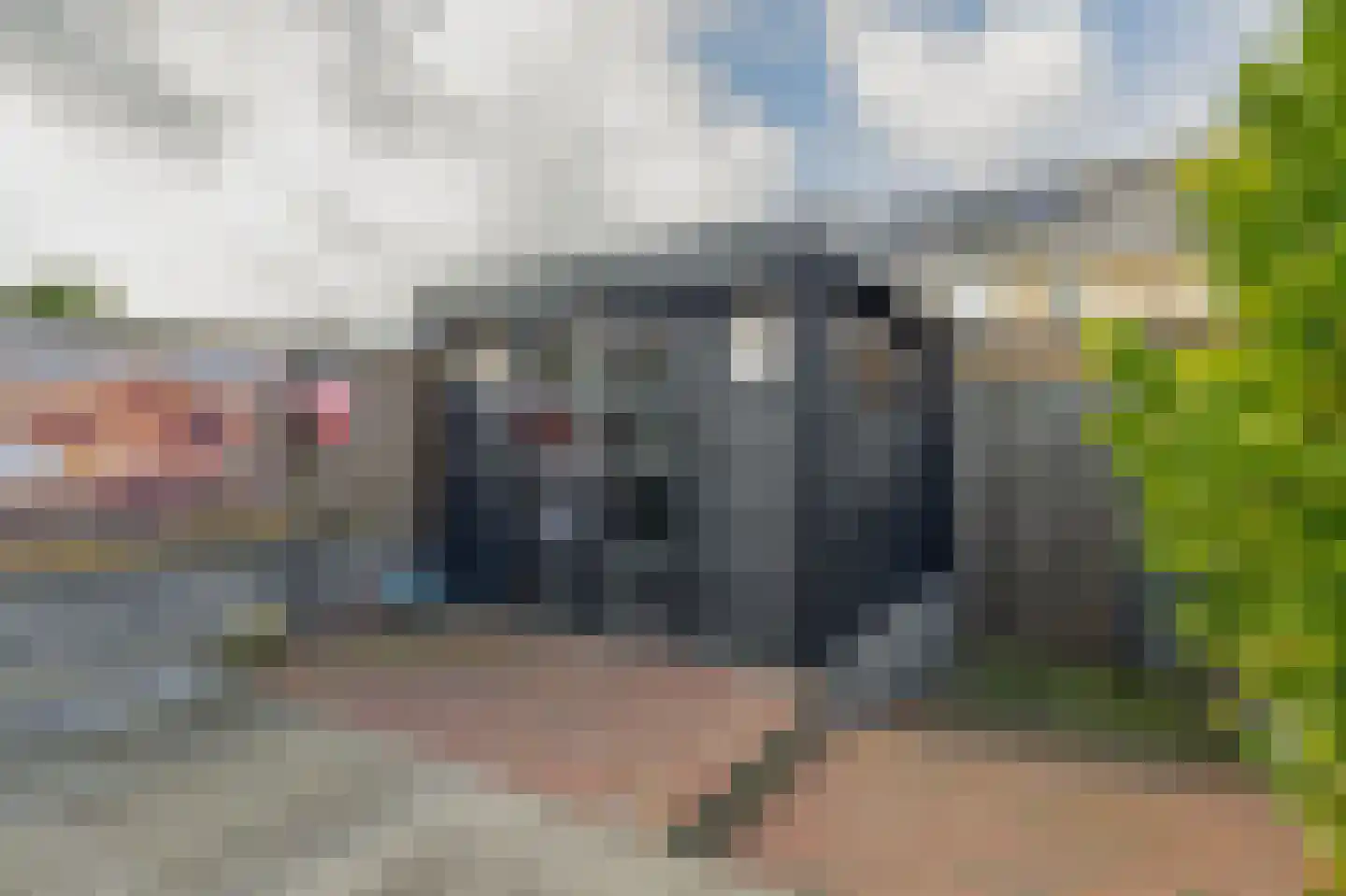 Merwedestraat 19 Spijkenisse thumbnail 26