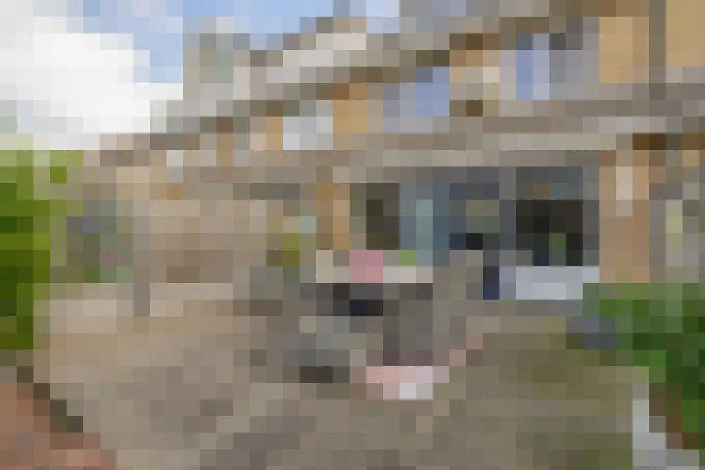 Merwedestraat 19 Spijkenisse thumbnail 28
