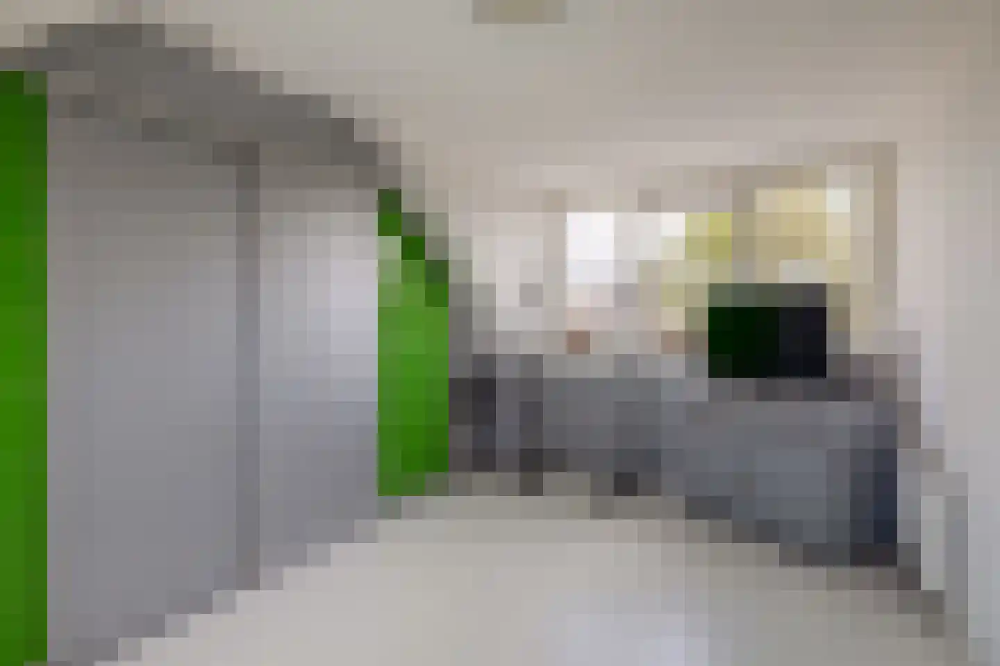 Merwedestraat 19 Spijkenisse thumbnail 38