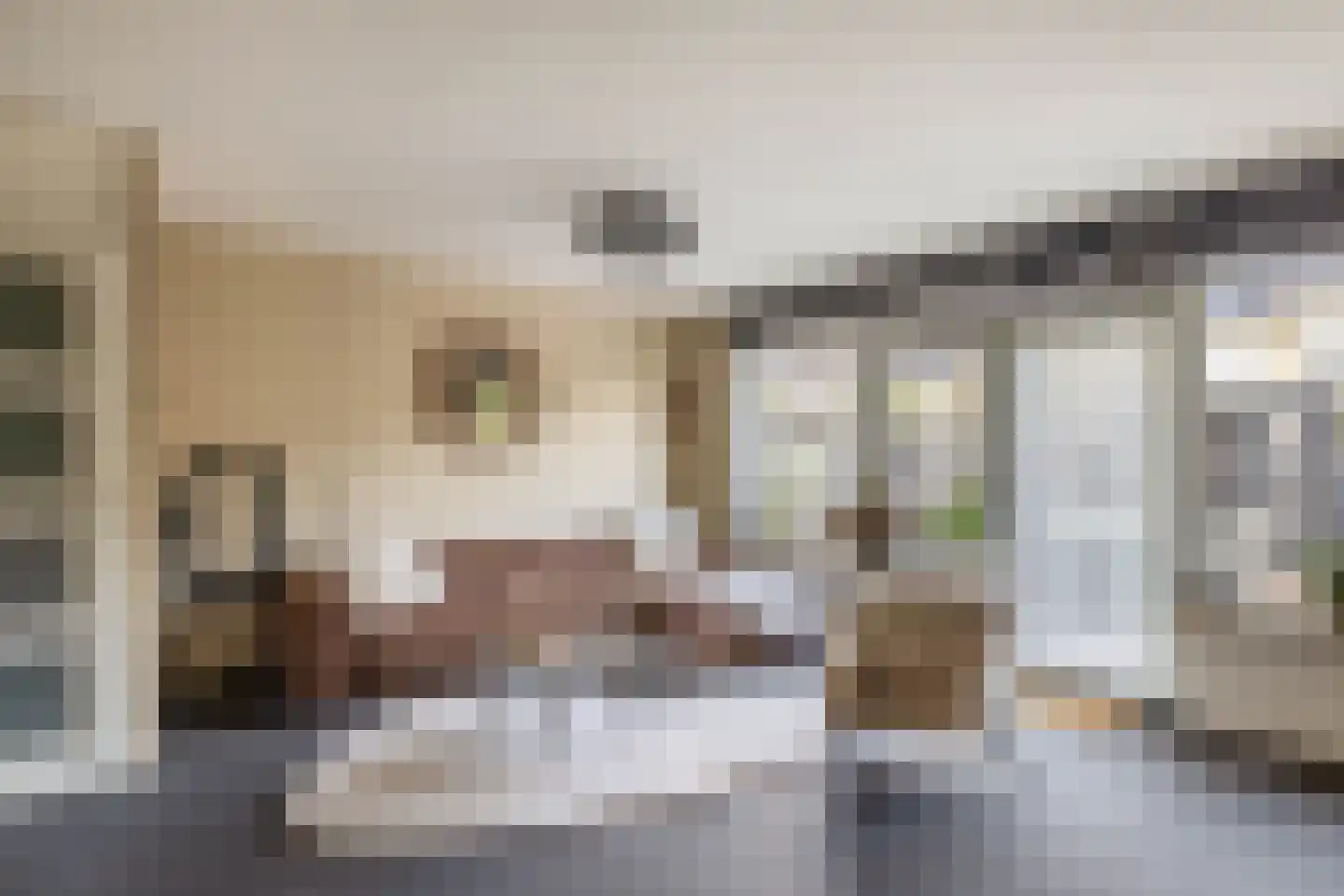 Merwedestraat 19 Spijkenisse thumbnail 4