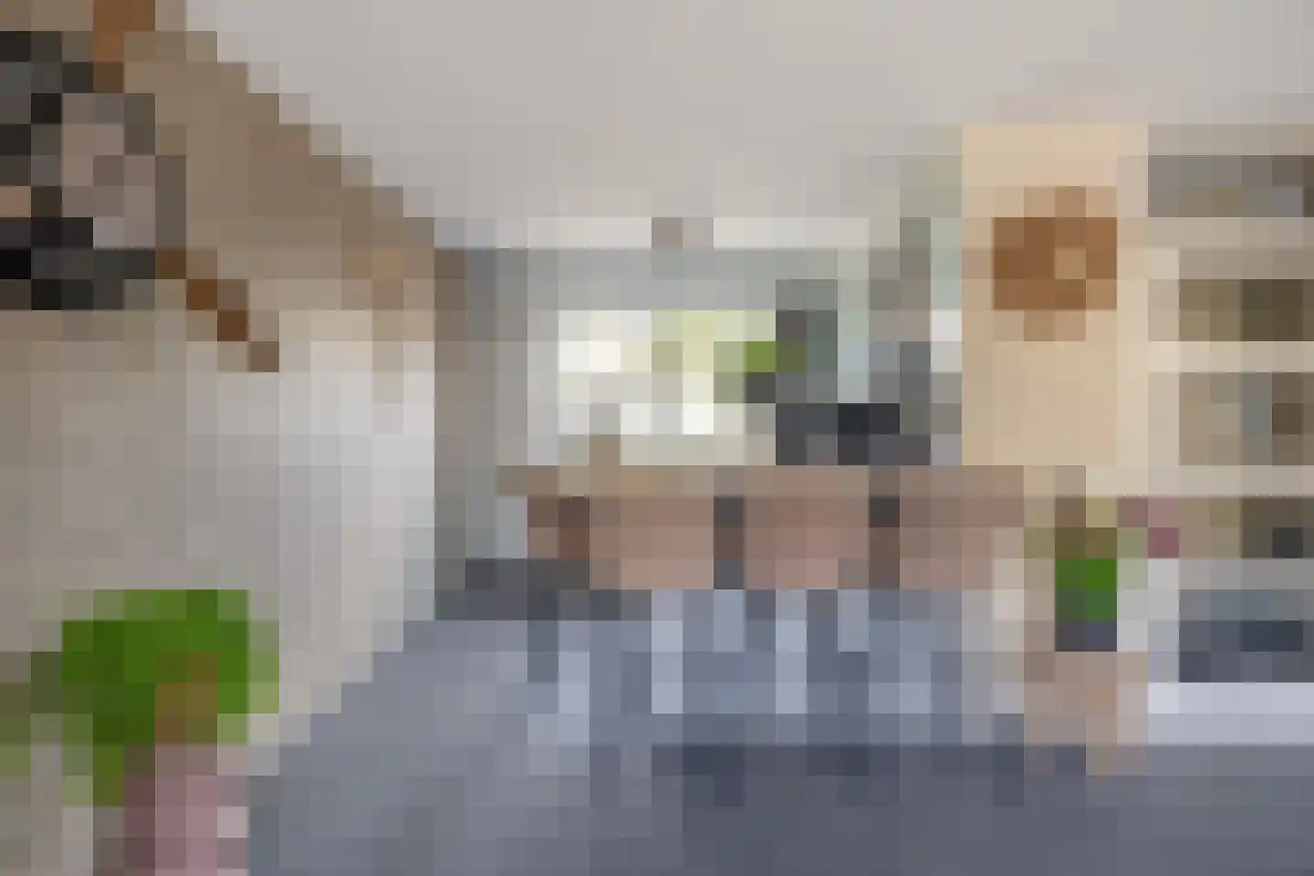 Merwedestraat 19 Spijkenisse thumbnail 6