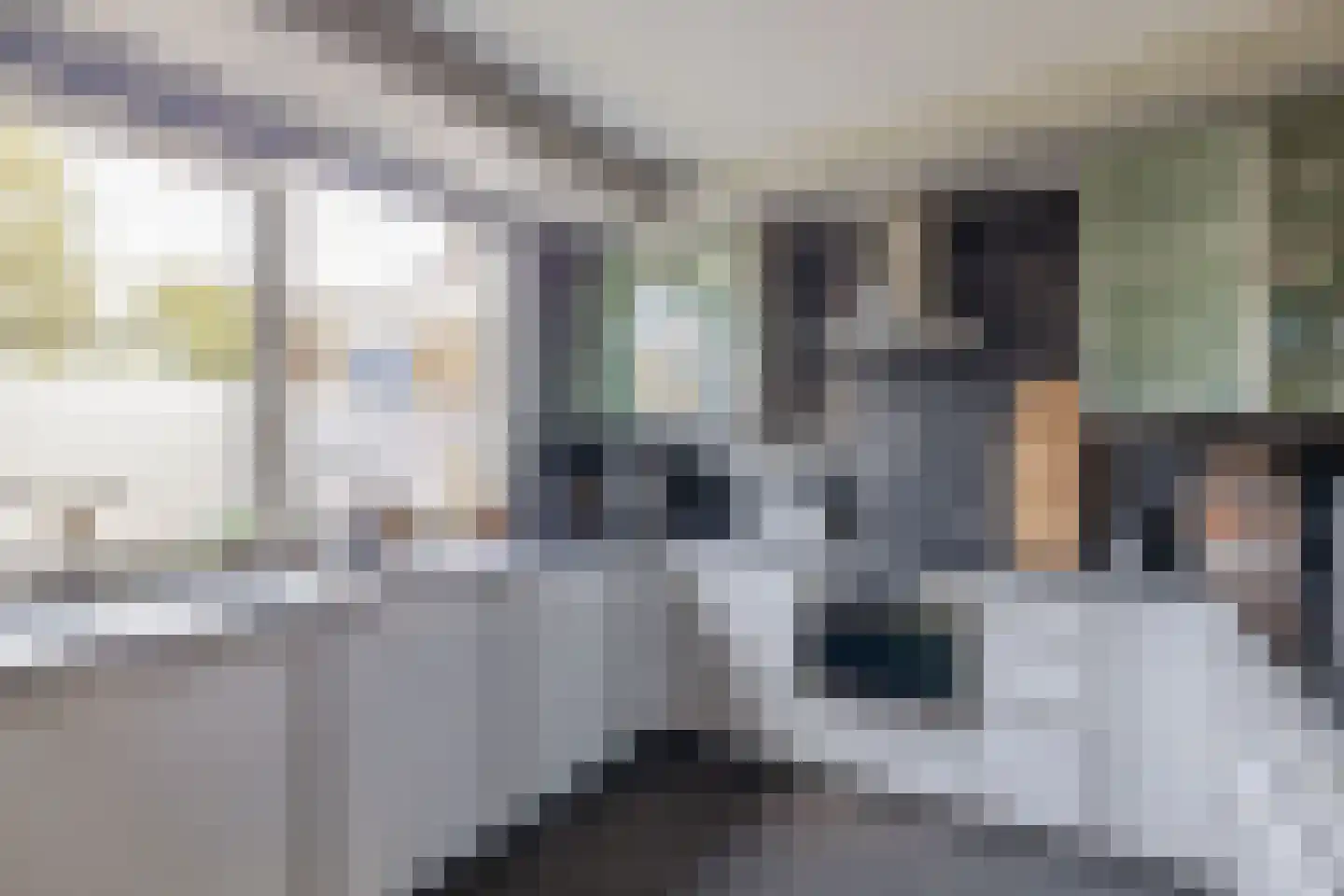 Merwedestraat 19 Spijkenisse thumbnail 8