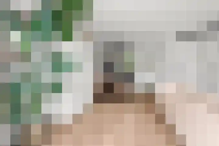 Merwedestraat 2 c Velp thumbnail 11