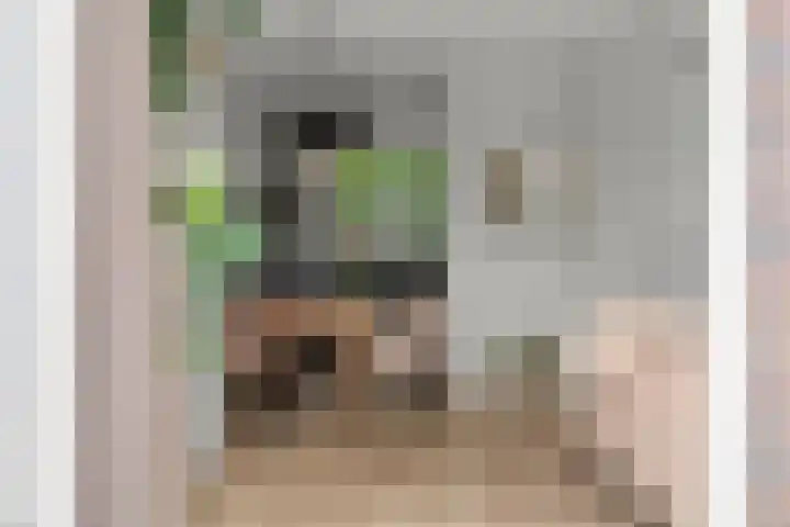 Merwedestraat 2 c Velp thumbnail 12