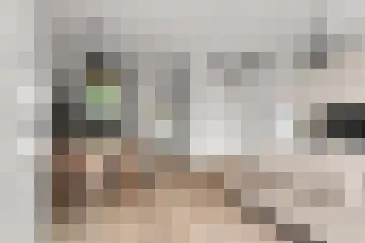 Merwedestraat 2 c Velp thumbnail 18