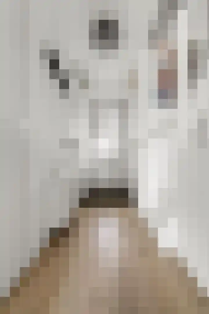 Merwedestraat 2 c Velp thumbnail 27