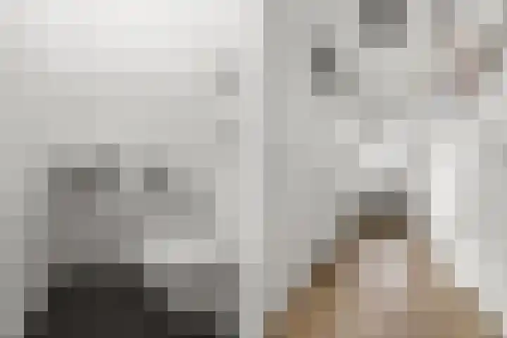 Merwedestraat 2 c Velp thumbnail 28