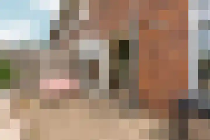 Merwedestraat 2 c Velp thumbnail 49